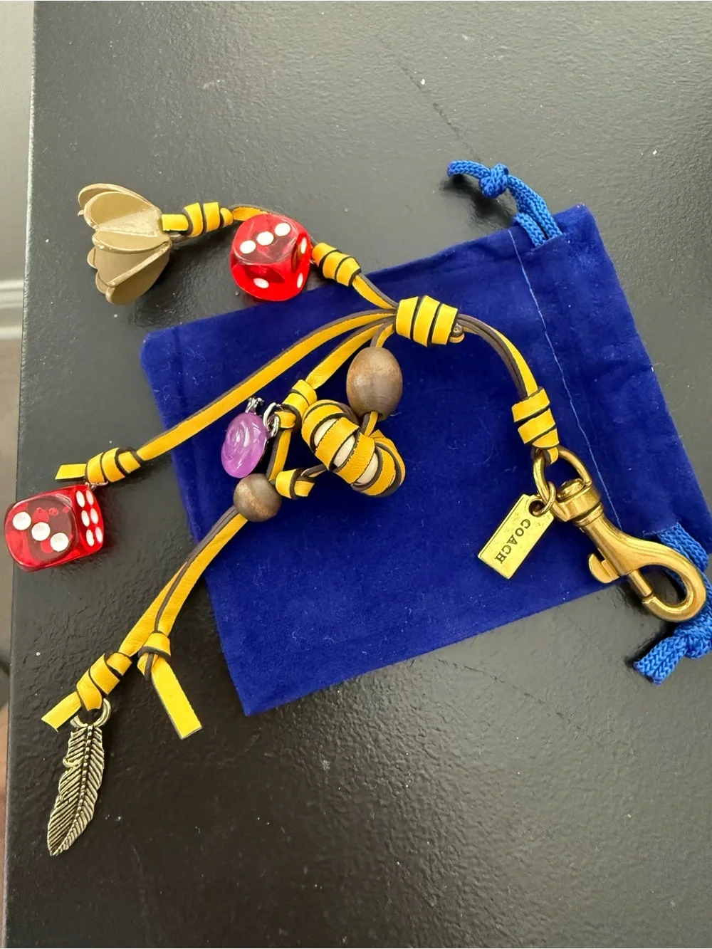 Coach NEW Cluster Dice Bag Charm